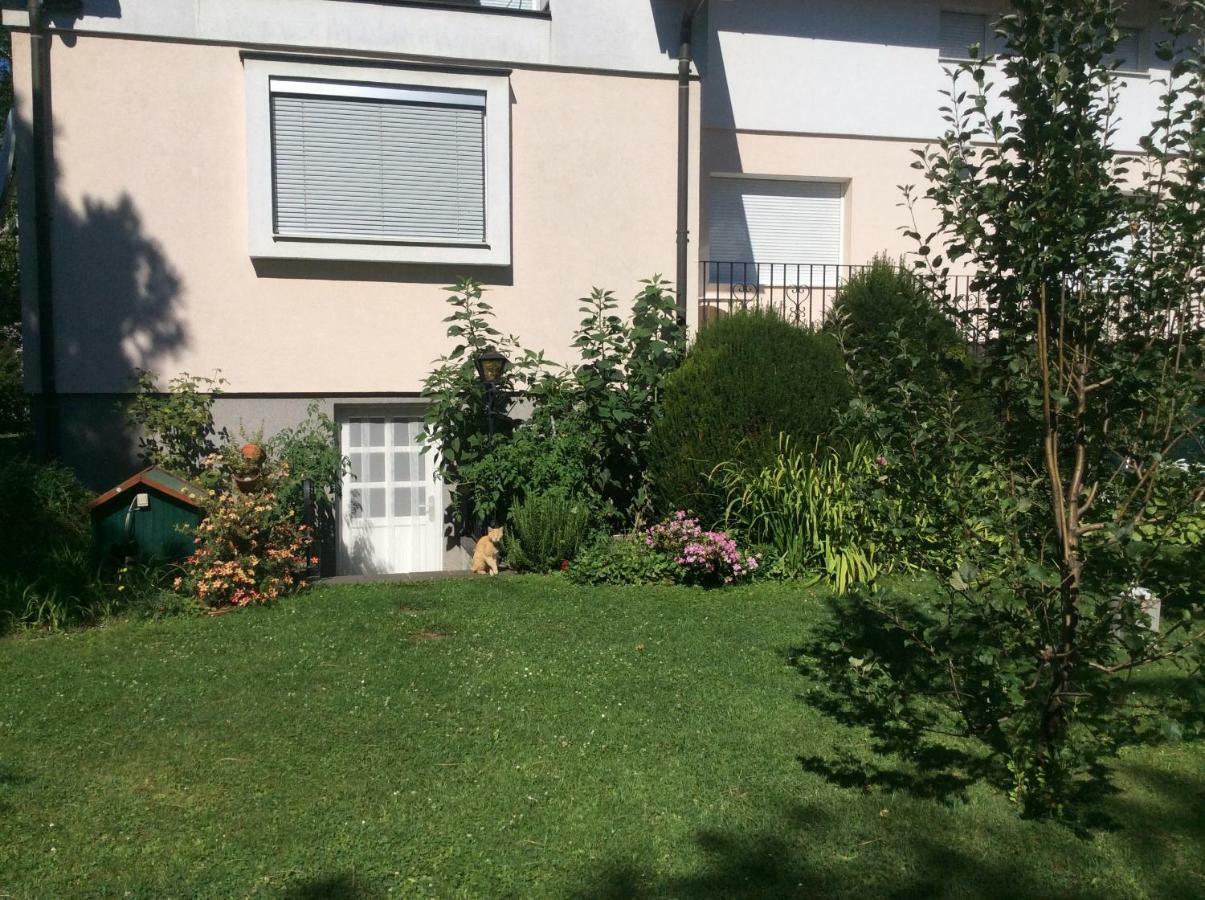 Austria Center - An Der Donau Apartment *